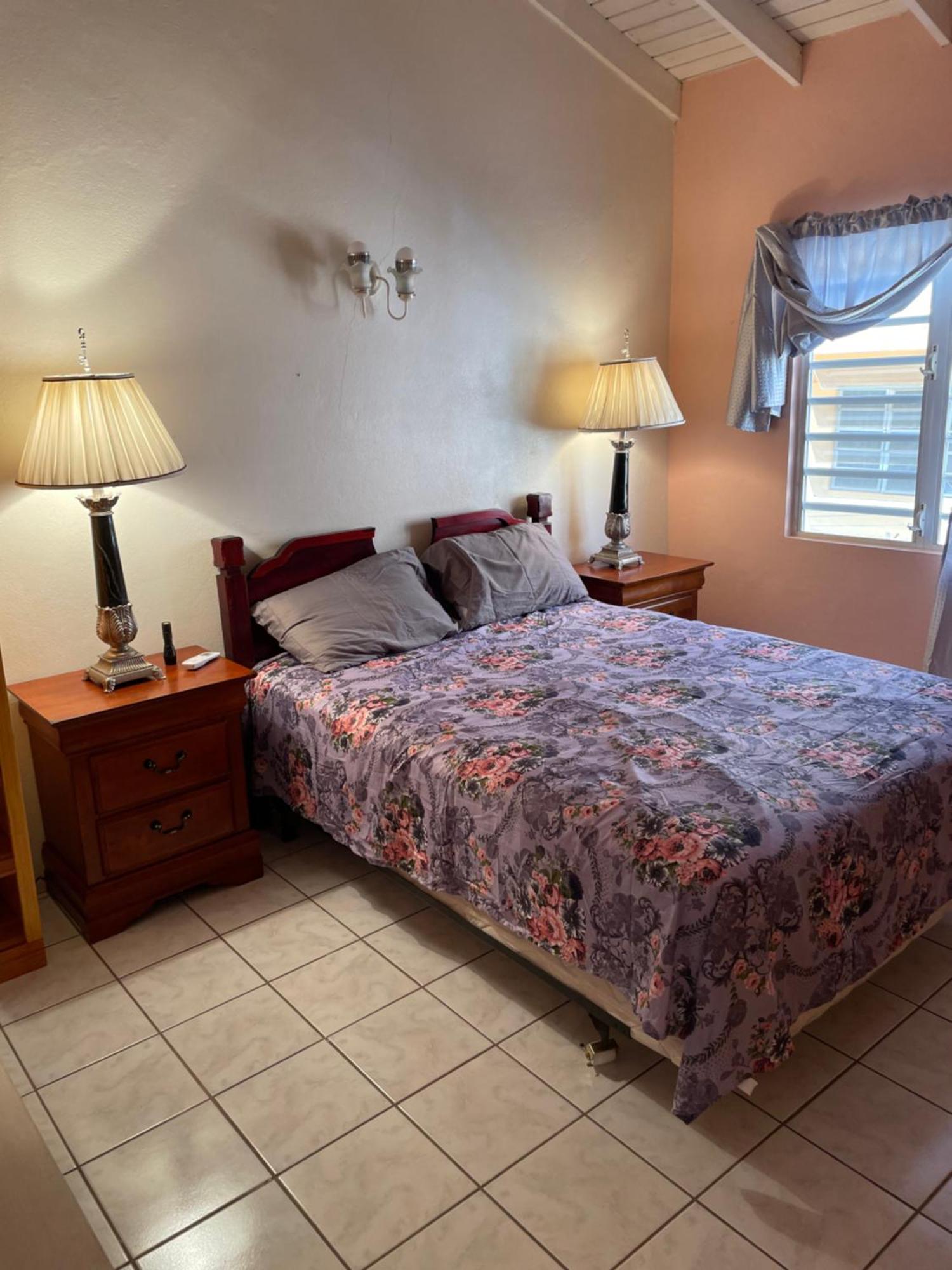 Mountain View Apartment Basseterre Ngoại thất bức ảnh