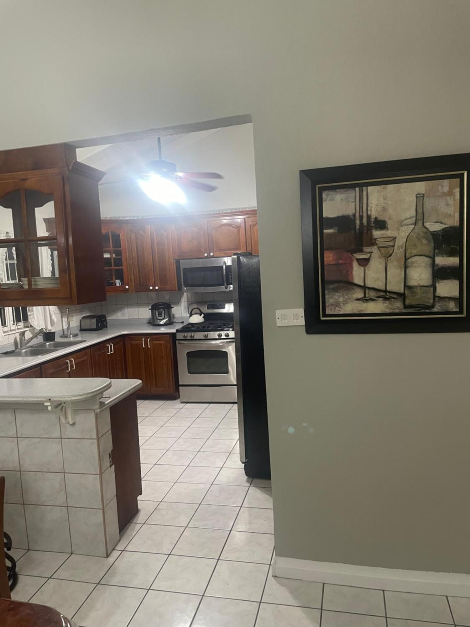 Mountain View Apartment Basseterre Ngoại thất bức ảnh