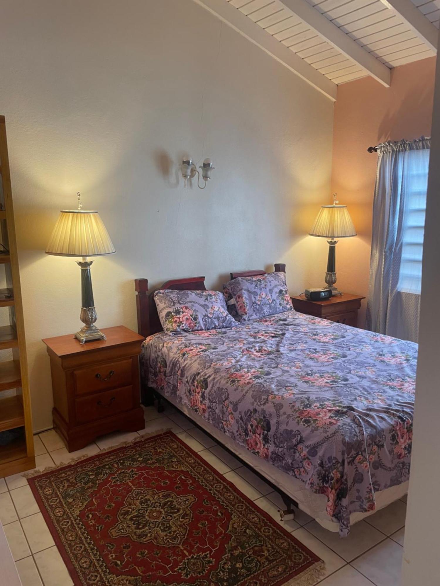 Mountain View Apartment Basseterre Ngoại thất bức ảnh